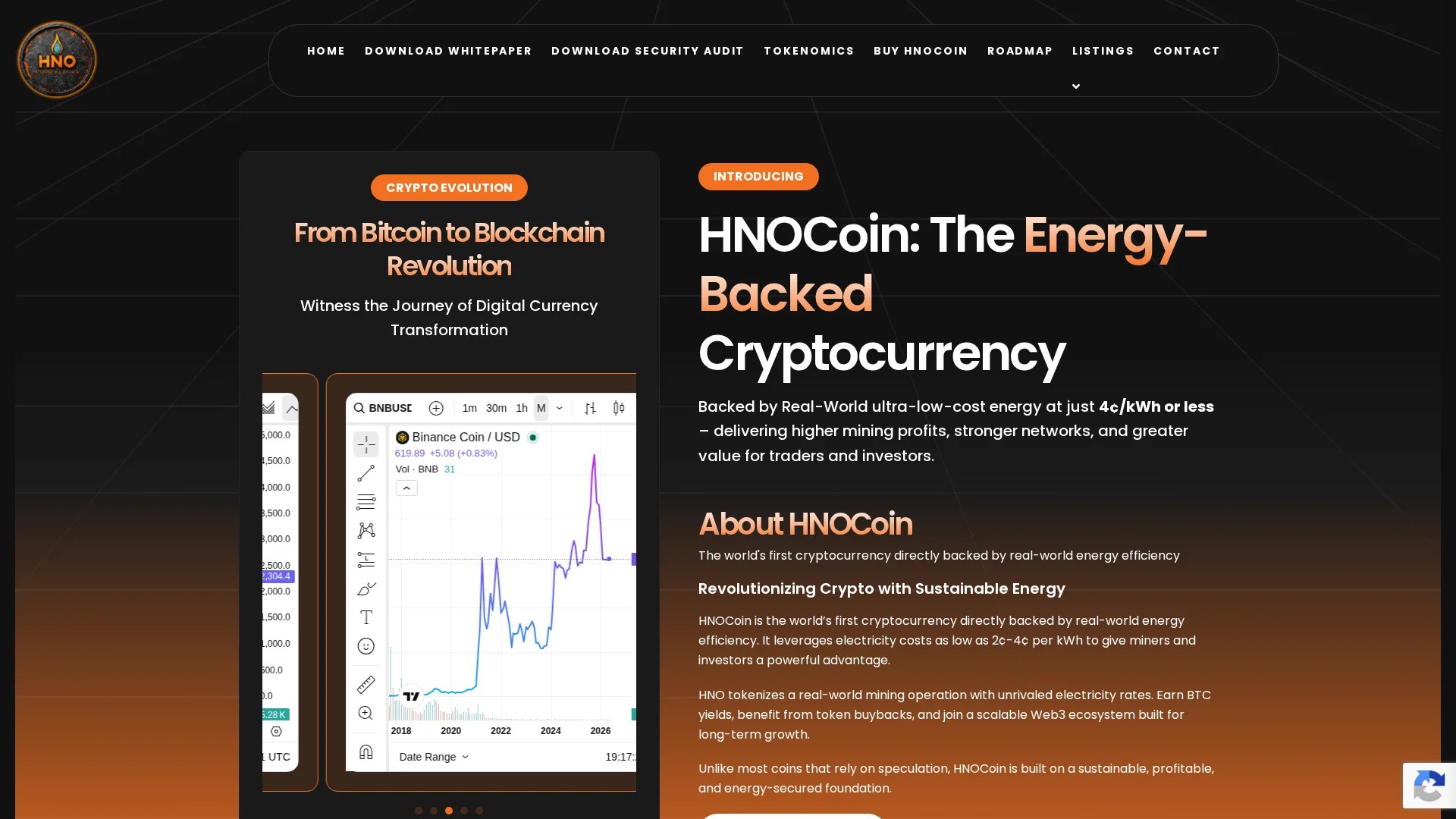 Screenshot of hnocoin.com captured at the last scan