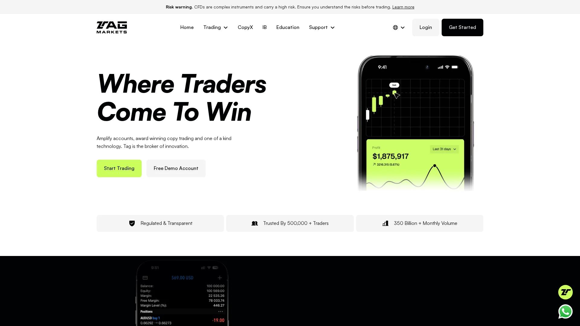 Screenshot of tagmarkets.com captured at the last scan